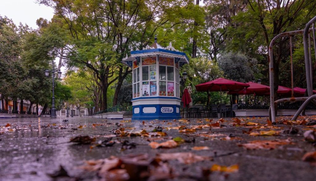 Errores frecuentes al montar un kiosco Errores frecuentes al montar un kiosco